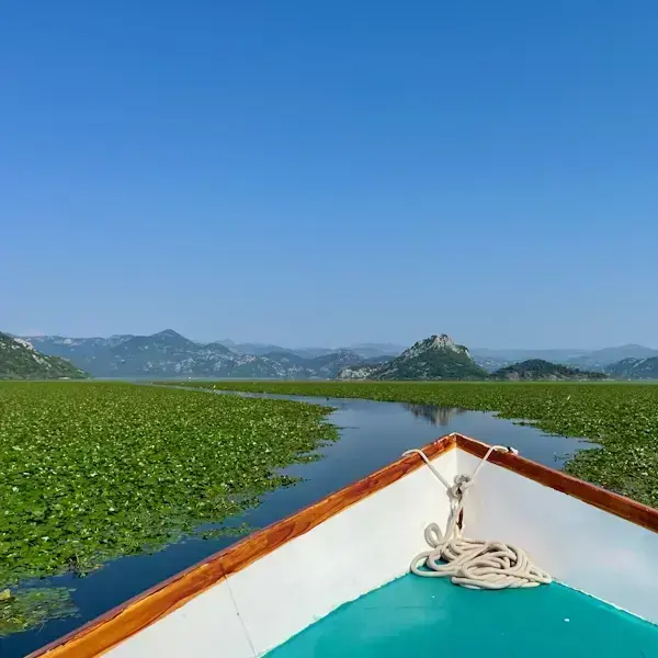 The Amazon Tour
